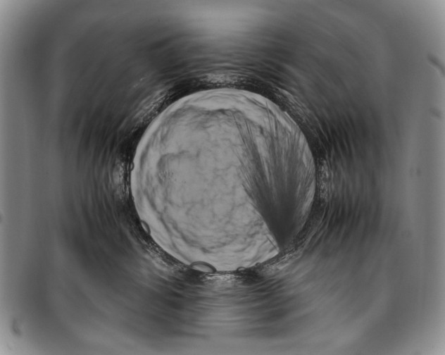 X0000096670428200803041224