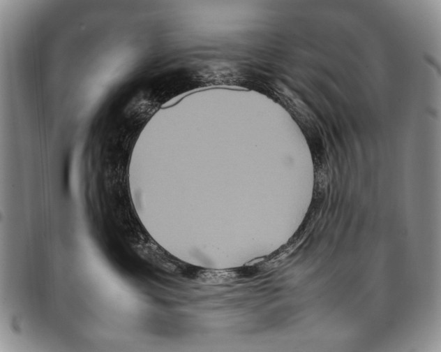 X0000096670429200803041224
