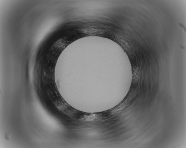 X0000096670430200803041224
