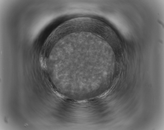 X0000096670431200803041224