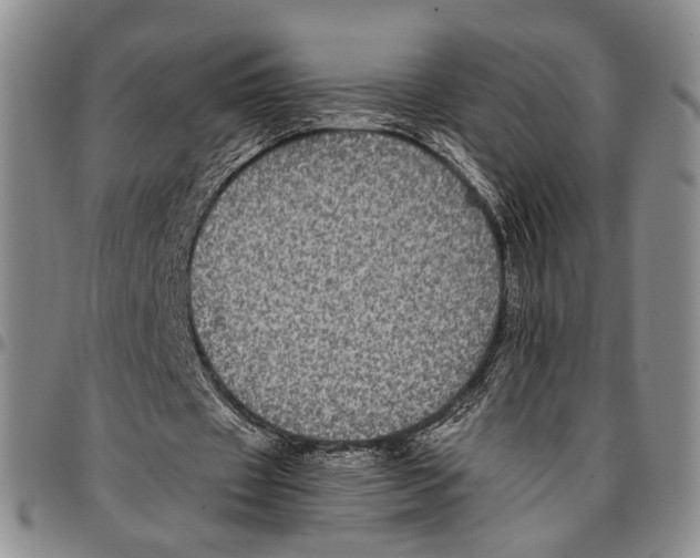 X0000096670433200803041223