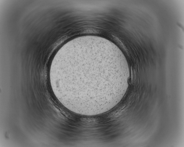 X0000096670435200803041224