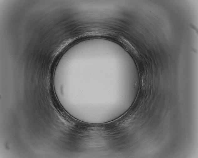 X0000096670436200803041224