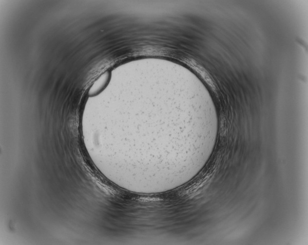 X0000096670437200803041224