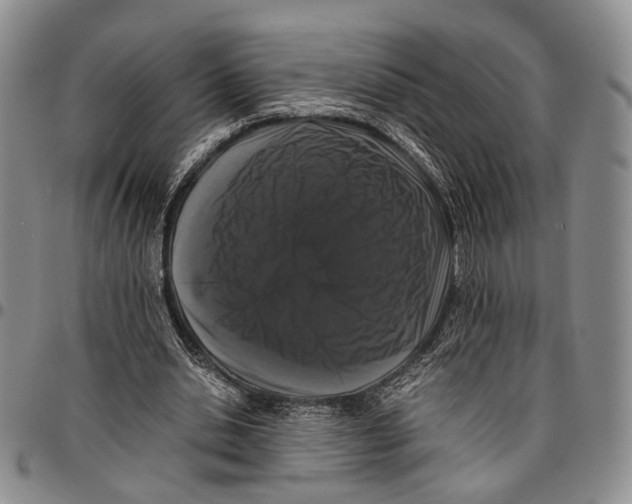 X0000096670438200803041224