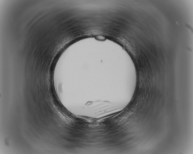 X0000096670439200803041224