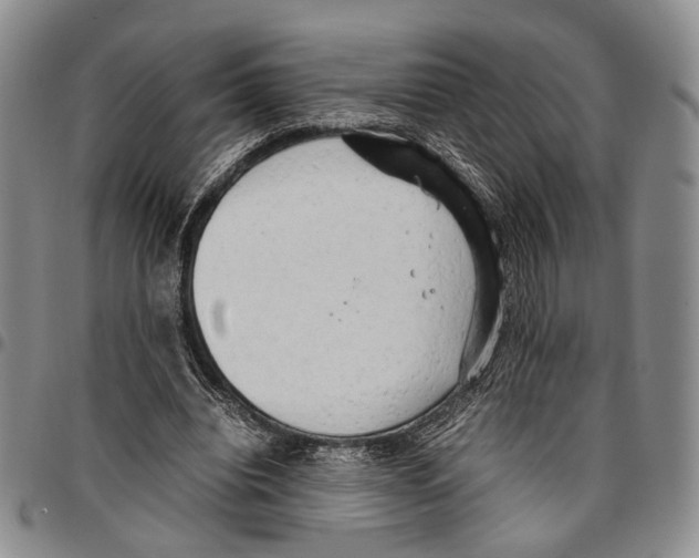 X0000096670440200803041224