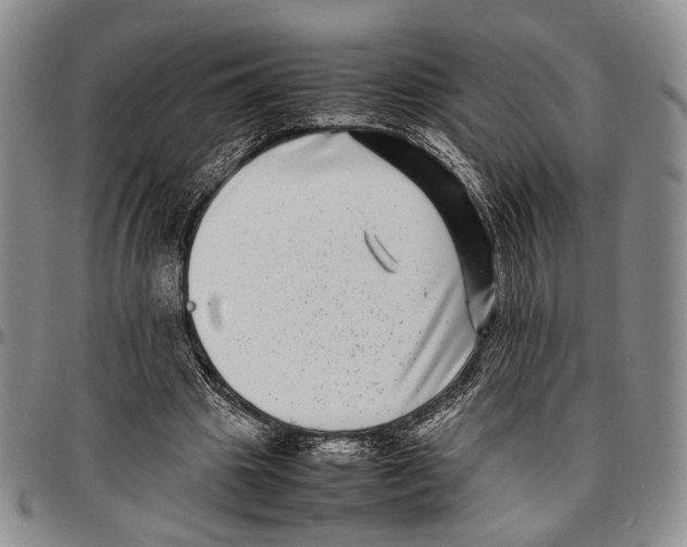 X0000096670441200803041224