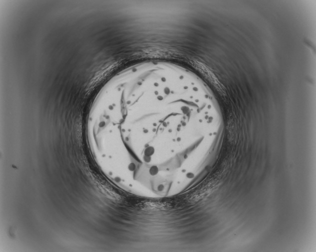 X0000096670442200803041224