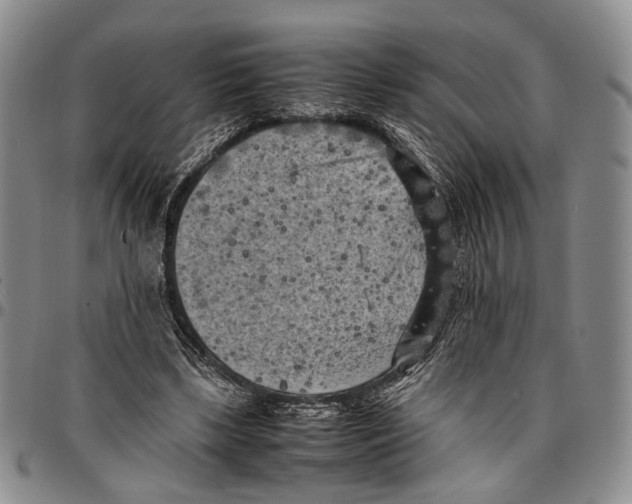 X0000096670443200803041224