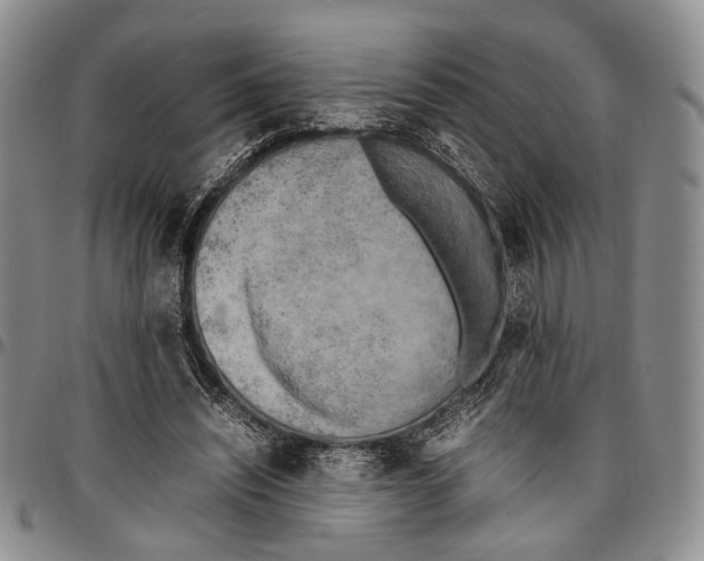 X0000096670444200803041224