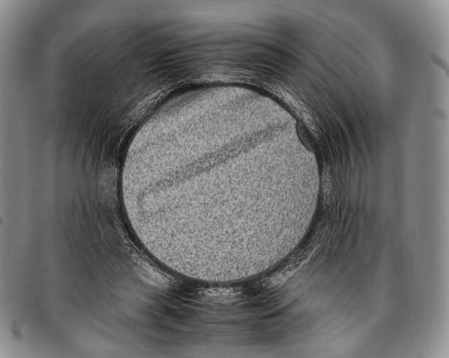 X0000096670445200803041224