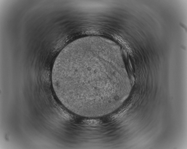 X0000096670449200803041224