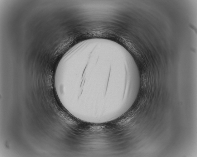 X0000096670450200803041224