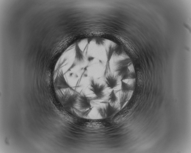 X0000096670451200803041224