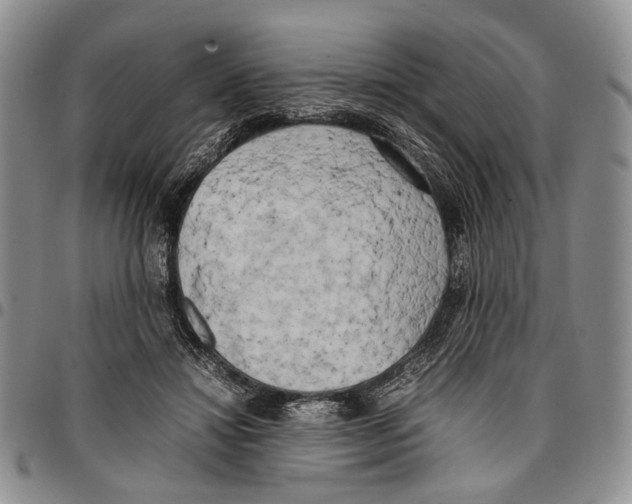 X0000096670452200803041224