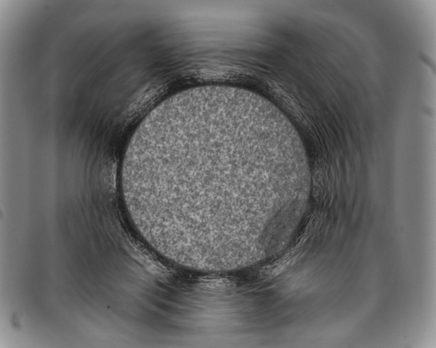 X0000096670454200803041224