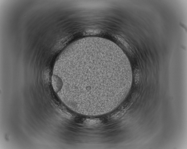 X0000096670455200803041224