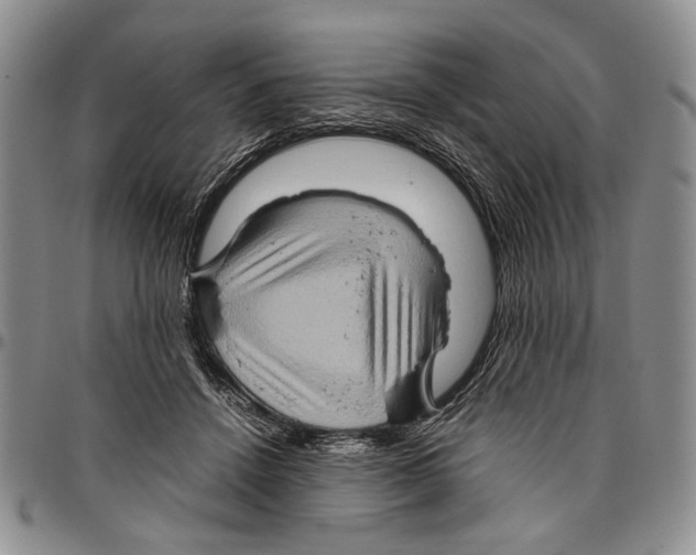 X0000096670456200803041224