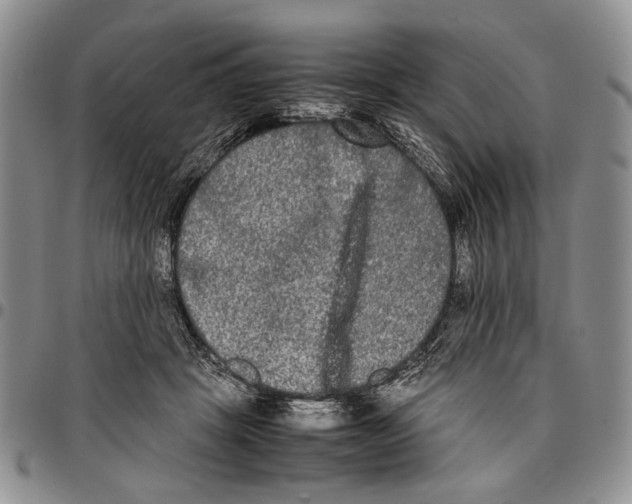 X0000096670457200803041224