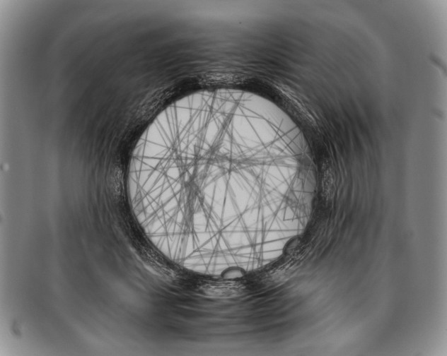 X0000096670459200803041224
