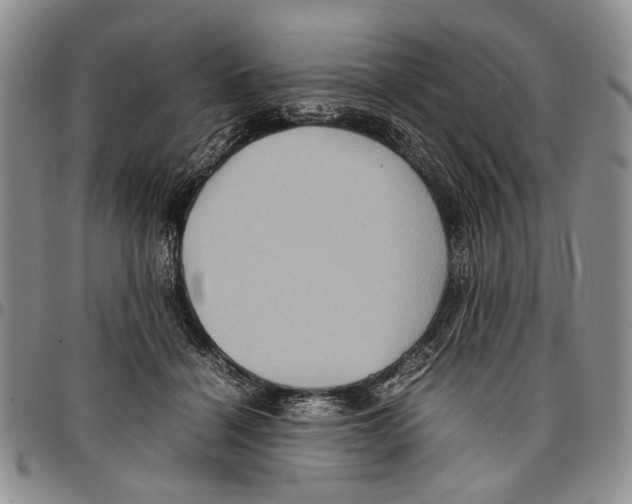 X0000096670460200803041224