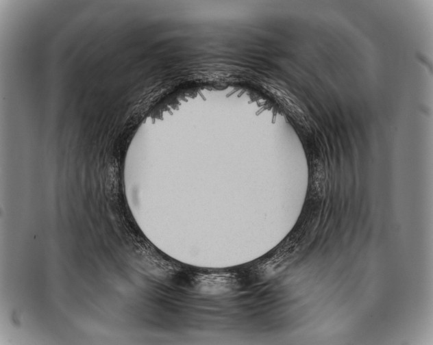 X0000096670461200803041224