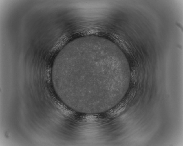 X0000096670462200803041224