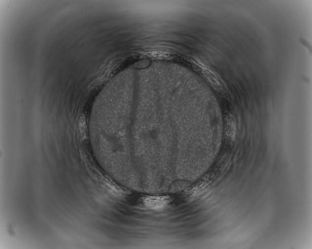 X0000096670465200803041224