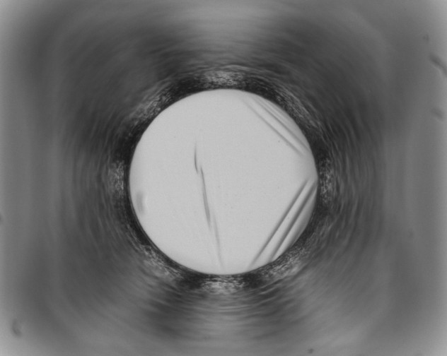 X0000096670466200803041224
