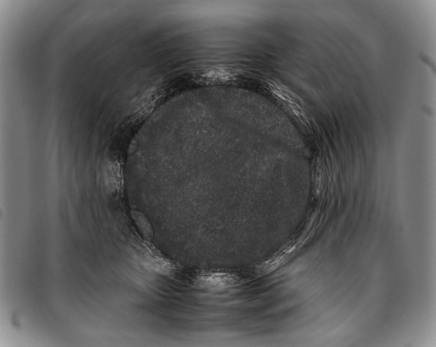 X0000096670467200803041224