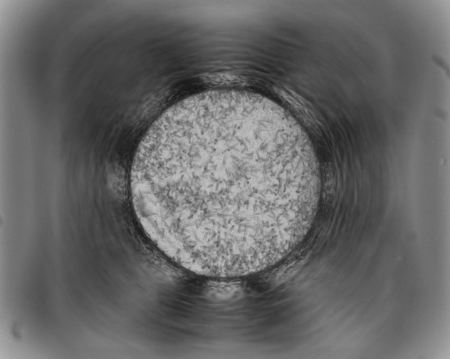 X0000096670469200803041224