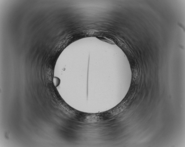 X0000096670470200803041224