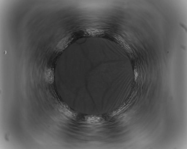 X0000096670471200803041224