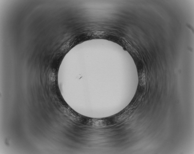X0000096670472200803041224