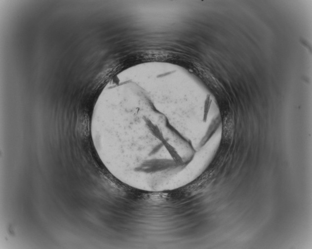 X0000096670474200803041224