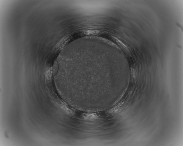 X0000096670475200803041224