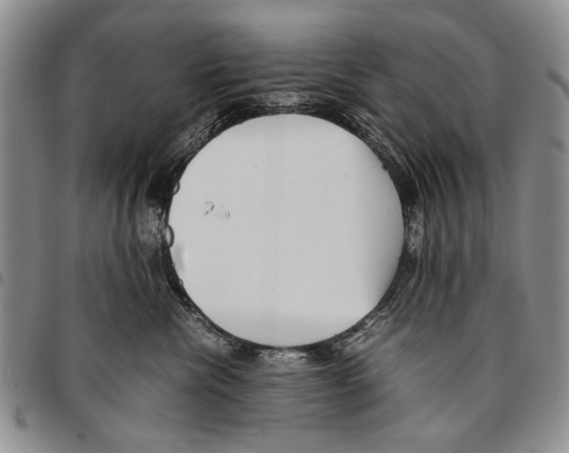 X0000096670476200803041224