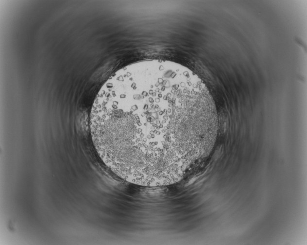 X0000096670479200803041224