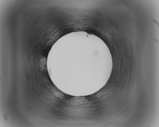 X0000096670480200803041224