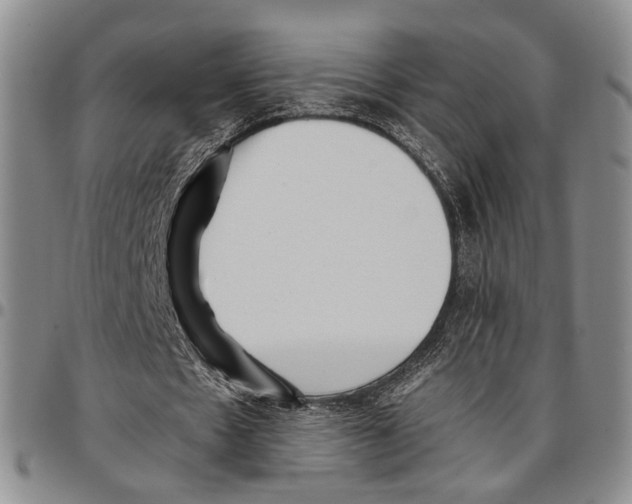 X0000096670481200803041223