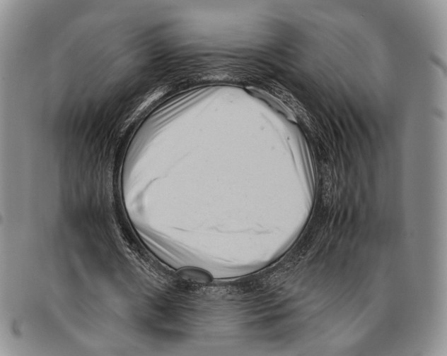 X0000096670482200803041223
