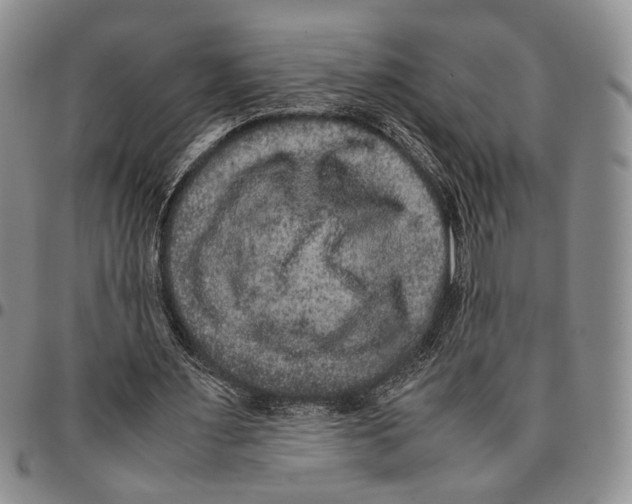 X0000096670483200803041223