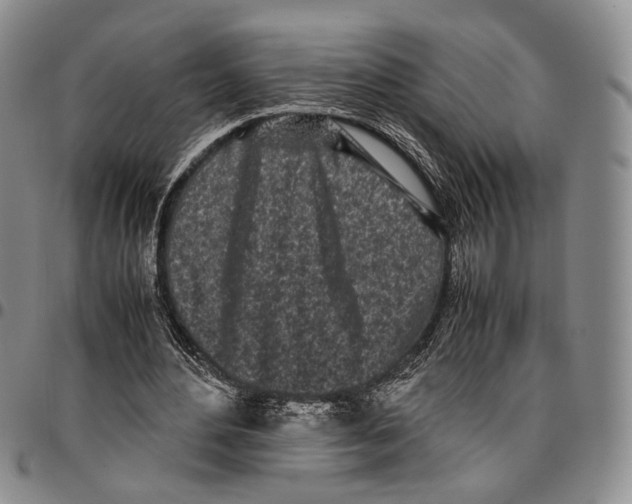 X0000096670484200803041223
