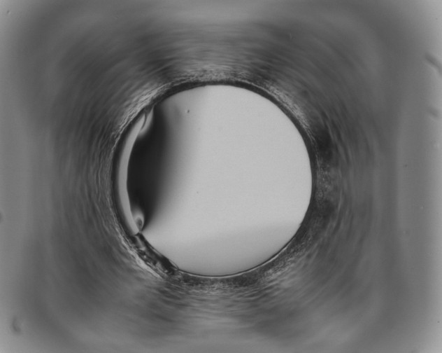 X0000096670485200803041223