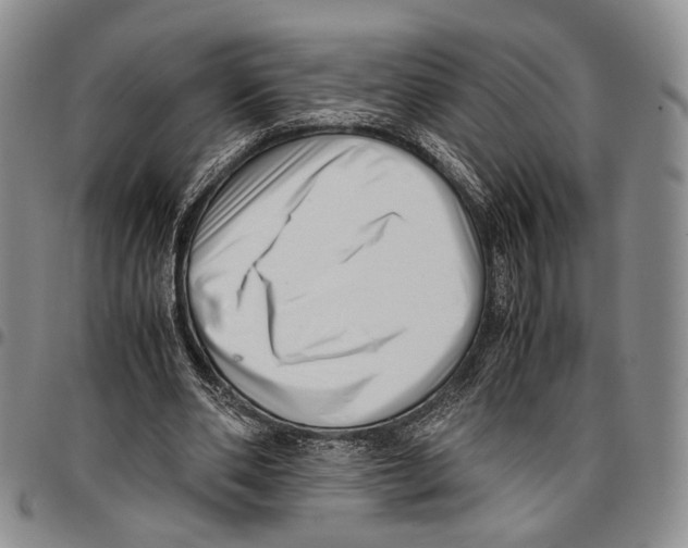 X0000096670486200803041223