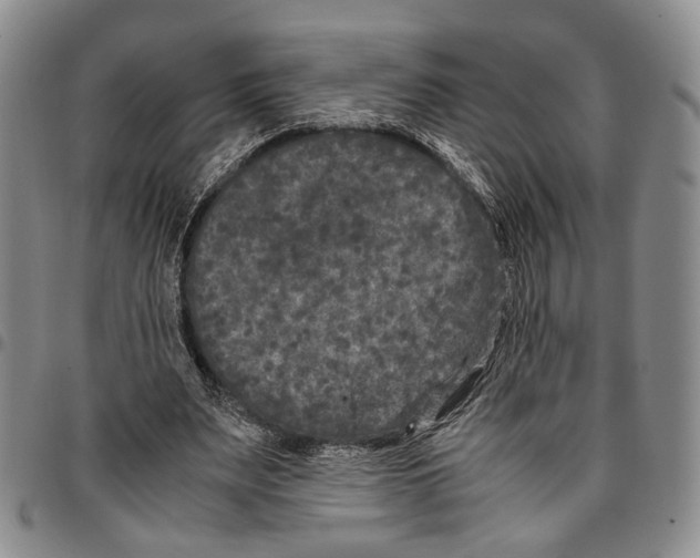 X0000096670487200803041223