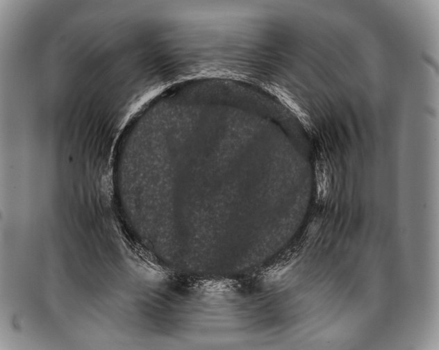 X0000096670488200803041223