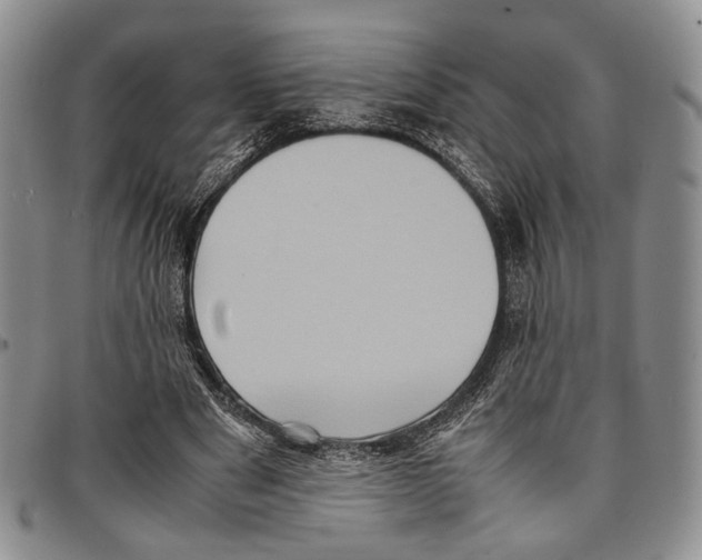X0000096670489200803041223