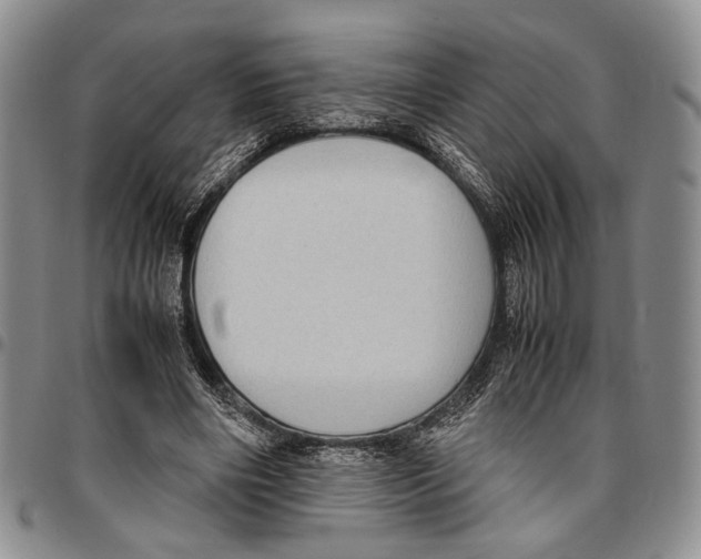 X0000096670490200803041223